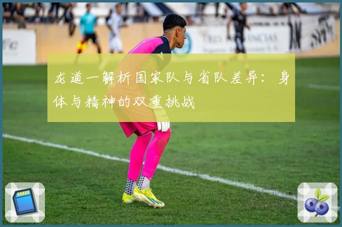 龙道一解析国家队与省队差异:身体与精神的双重挑战